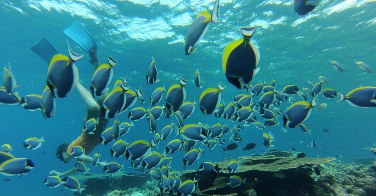 Molar Wave Hotel Himmafushi Buitenkant foto