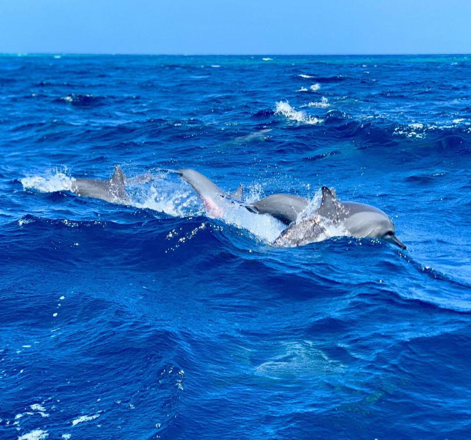 Molar Wave Hotel Himmafushi Buitenkant foto